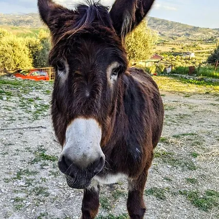 Locanda Roba Albanisi *