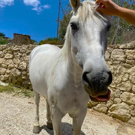 Roba Albanisi Locanda *
