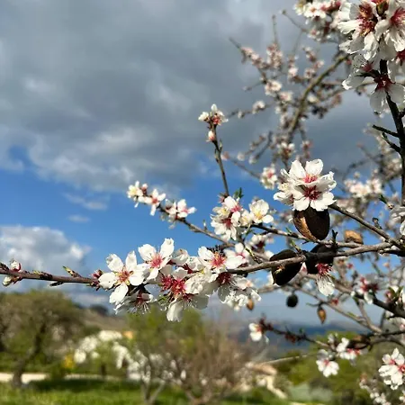 Roba Albanisi Locanda Aragona