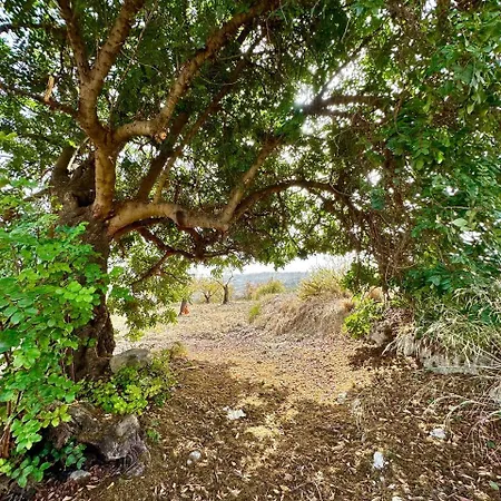 Roba Albanisi Locanda