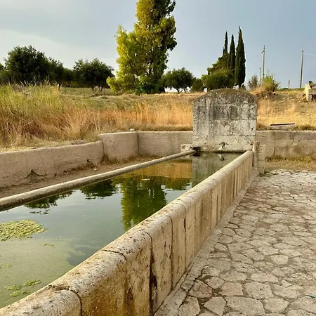 Roba Albanisi Aragona